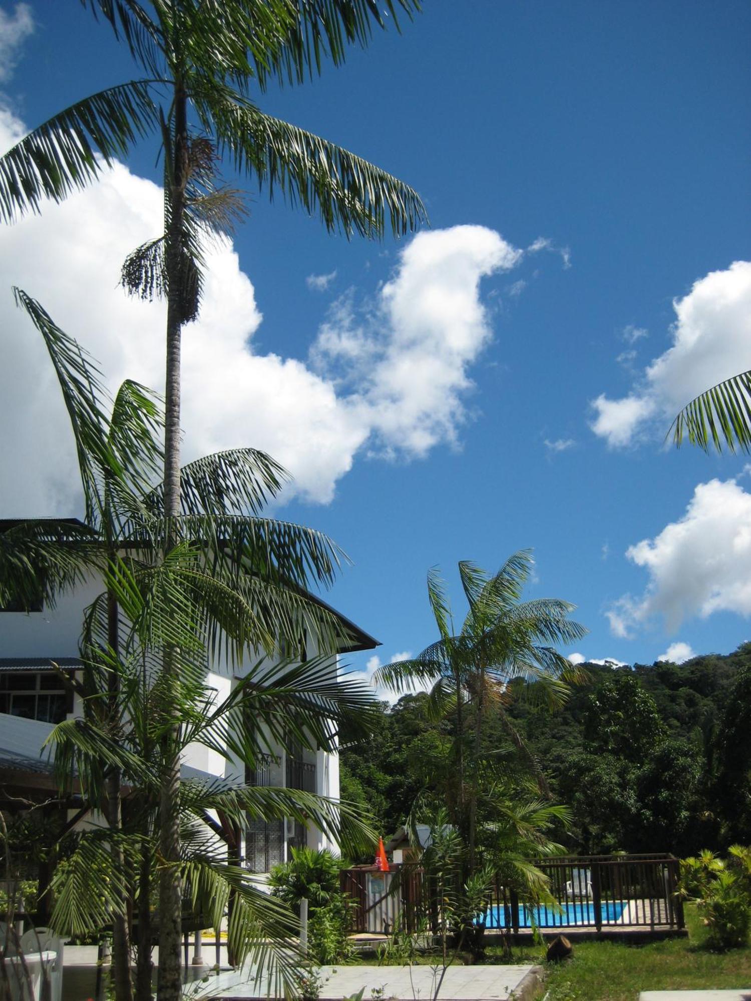 Hotel La Marmotte Matoury Buitenkant foto